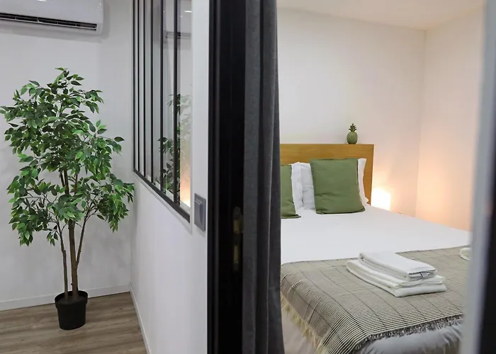 Fervenca Great Ii Apartamento *